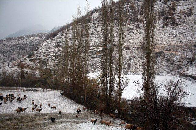 Kar Yağışından Etkilenen Koyun Sürüsü Köye İndirildi