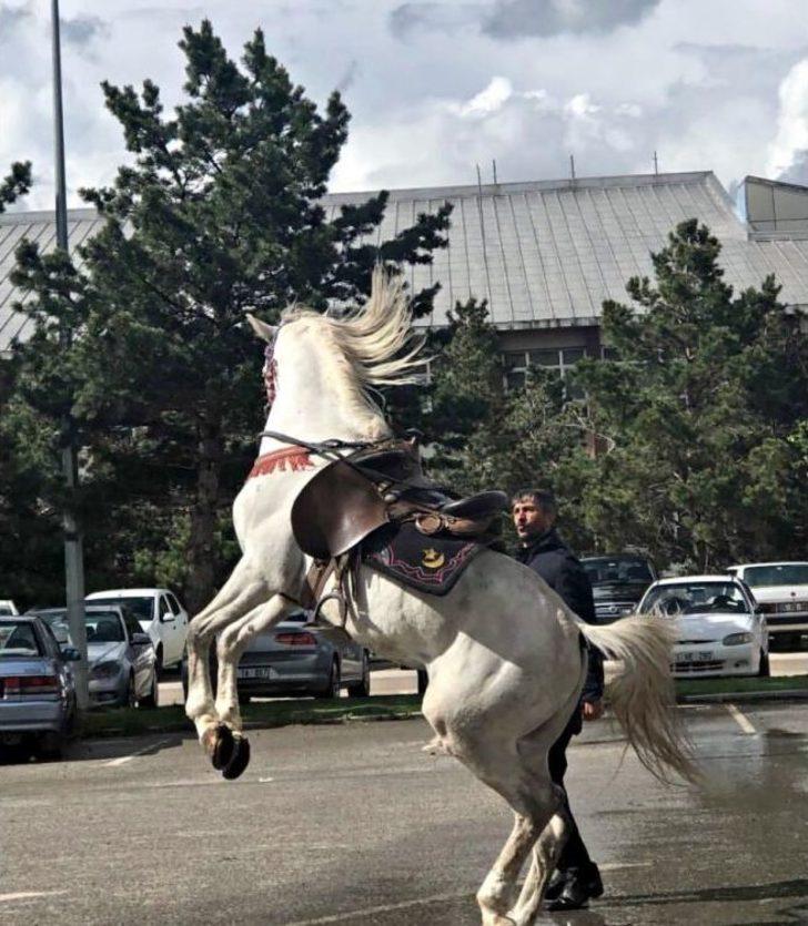 Şenlikler Tüm Hızıyla Devam Ediyor G5