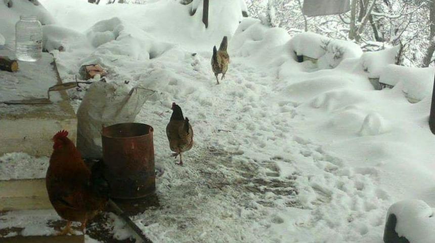 Alaşehir&rsquo;de Kar Kalınlığı 7 Santimetreye Ulaştı