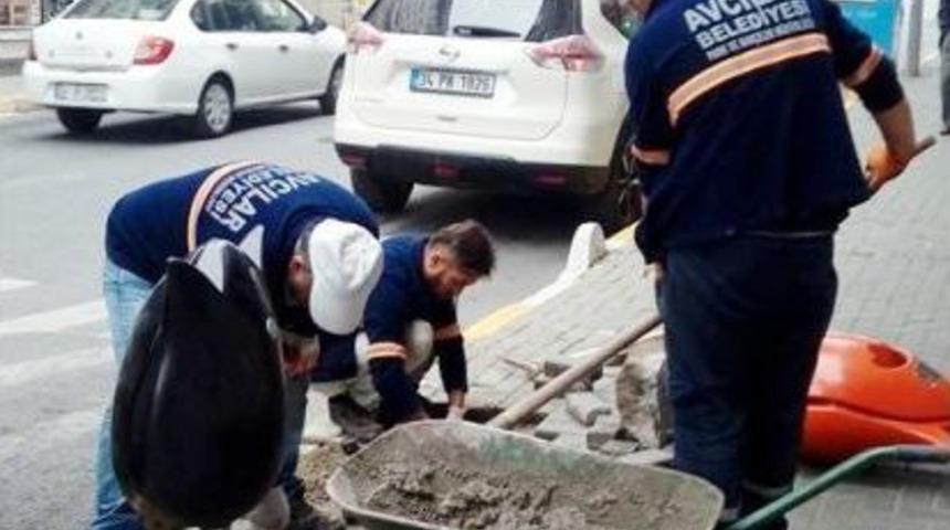 Avcılar&rsquo;da Kışın &Ccedil;i&ccedil;ekler A&ccedil;acak