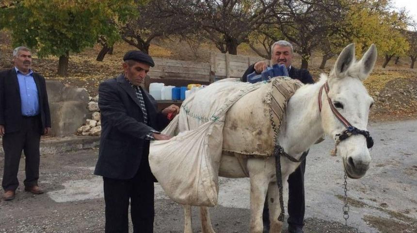 Evlerine Hayvanlarla Su Taşıyorlar