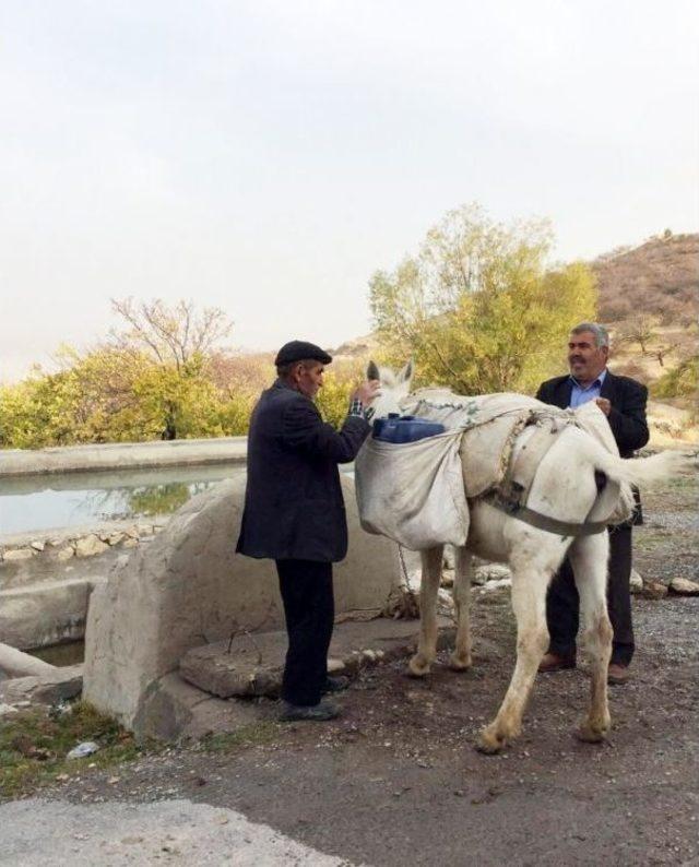 Evlerine Hayvanlarla Su Taşıyorlar