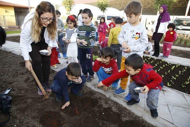 Ekolojik Kreş&rsquo;in Minikleri Toprakla Buluştu 1