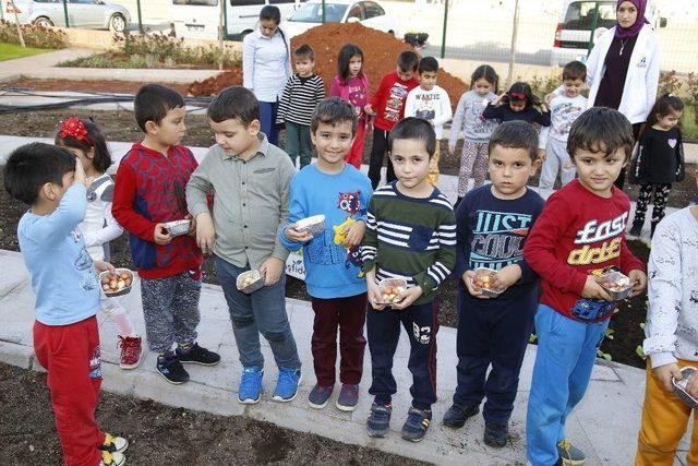 Ekolojik Kreş&rsquo;in Minikleri Toprakla Buluştu 2