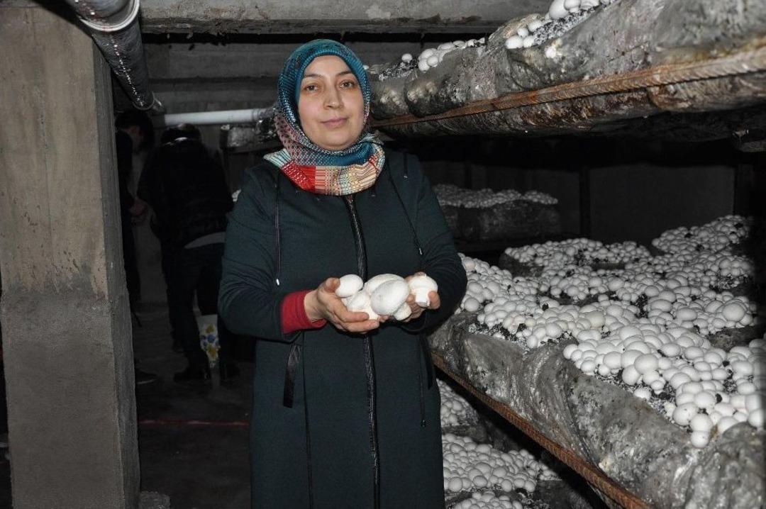 Girişimci Ev Hanımının Y&uuml;z&uuml;n&uuml; K&uuml;lt&uuml;r Mantarı G&uuml;ld&uuml;rd&uuml;