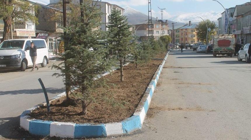 Muradiye&rsquo;de Yeşillendirme &Ccedil;alışmaları