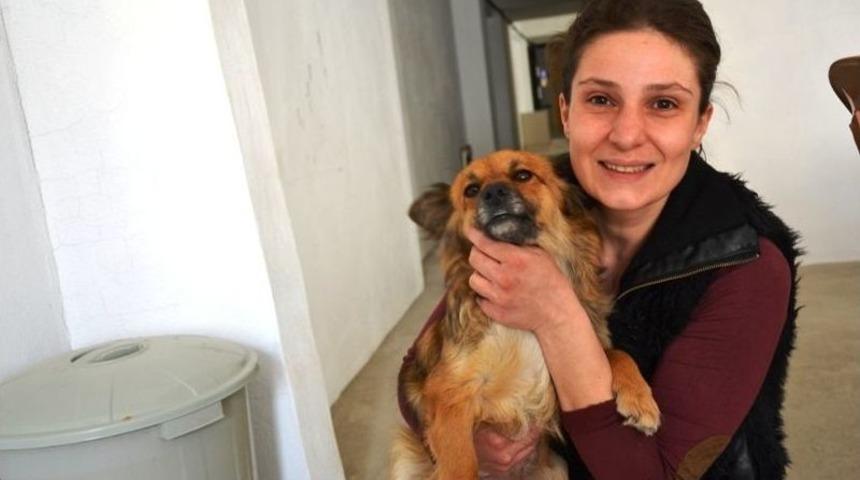 Biga&rsquo;da G&ouml;n&uuml;ll&uuml; Hayvan Severler Bir Araya Geldi