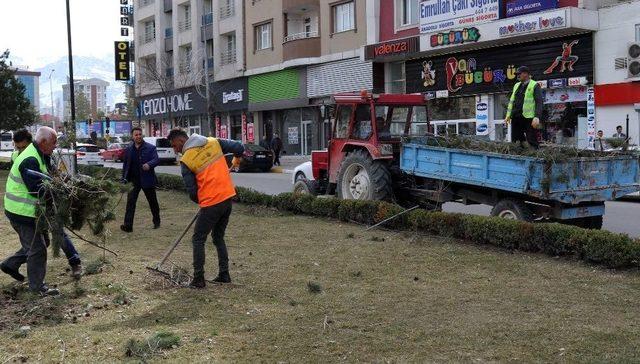 Van’da Ağaç Budama Çalışması