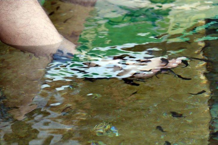 Makedonya Cumhurbaşkanı Ivanov ’doktor Balıklar’a Hayran Kaldı G3