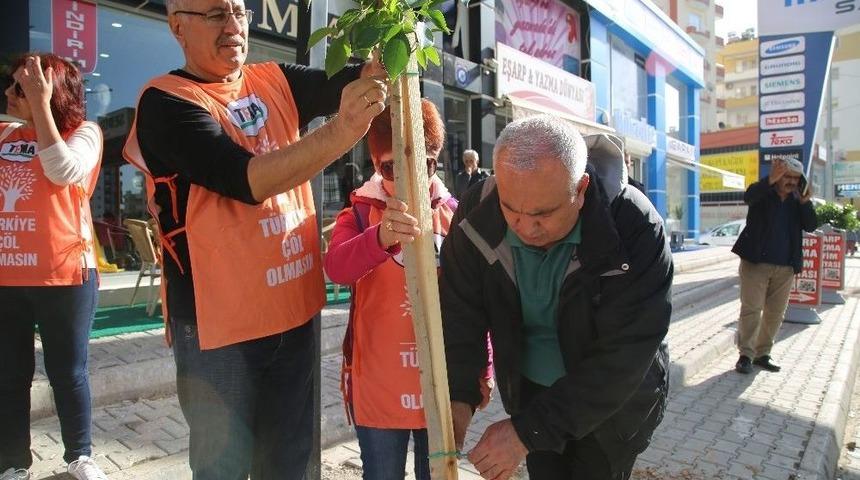 Erdemli Yeşilleniyor