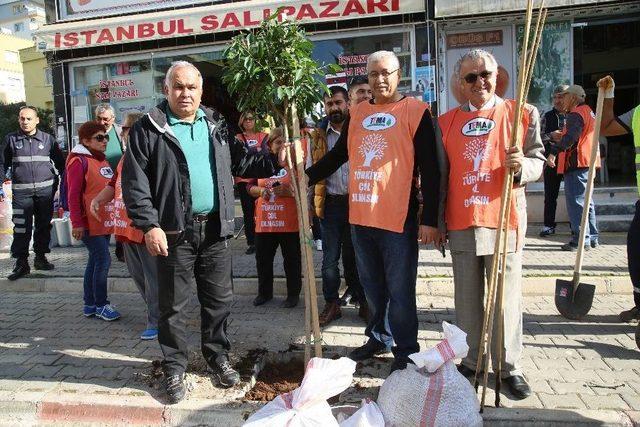 Erdemli Yeşilleniyor 1