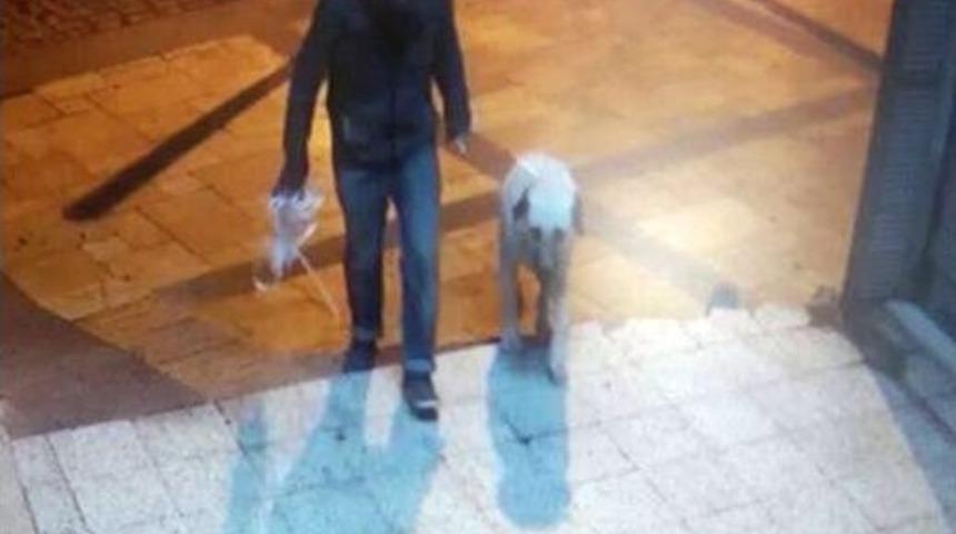 Madde Bağımlısının K&ouml;peği &Ouml;ld&uuml;r&uuml;p, Tecav&uuml;z Ettiği İddiası