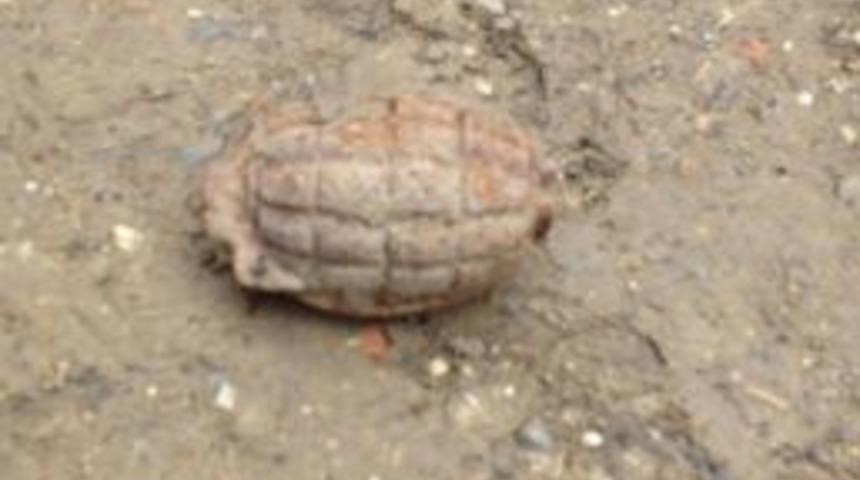 Okulda Paniğe Neden Olan Cisim El Bombası &Ccedil;ıktı