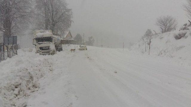 Kar Yağışı Nedeniyle Birçok Araç Yollarda Kaldı