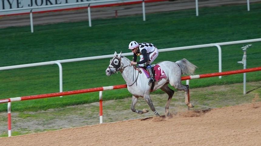 Seyhan Belediye Başkanlığı Koşusu Kupası 2. Kez "enderefe"nin