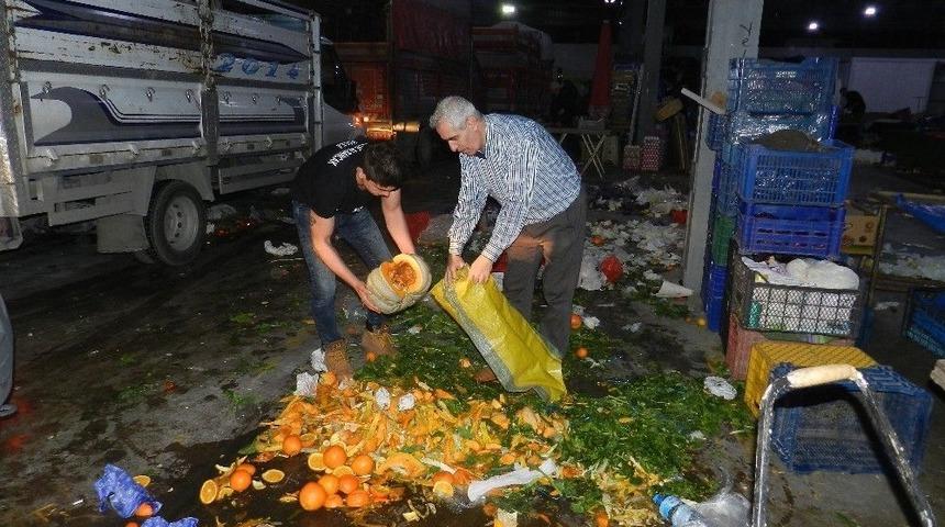 Pazar &Ccedil;&ouml;pleri İş Kapısı Oldu