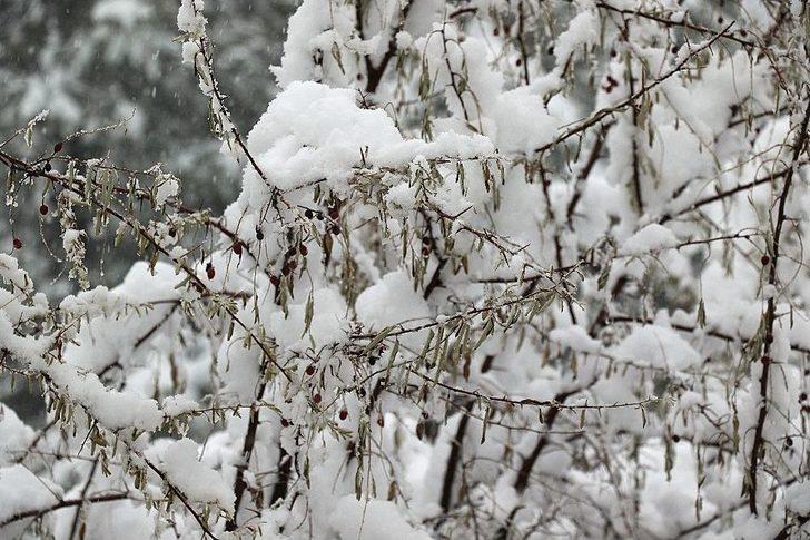 Karabük-bartın Karayolu Trafiğe Açıldı G5