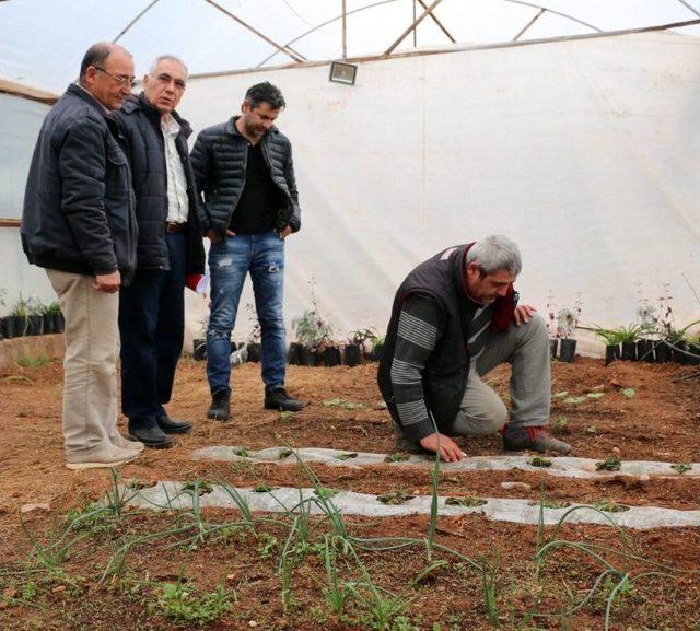 Girişimcilerin Gözdesi ‘solucan Gübresi’