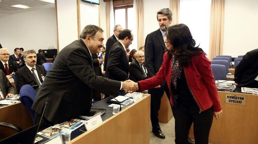 Bakan Eroğlu Plan Ve B&uuml;t&ccedil;e Komisyonunda Sunum Yaptı