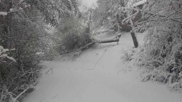 Kastamonu’da Etkili Olan Kar Yağışı Elektrik Tellerini Kopardı