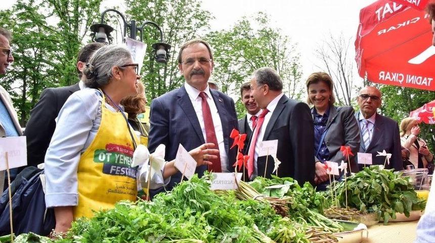 Samsun Y&ouml;resel Ot Yemekleri Festival