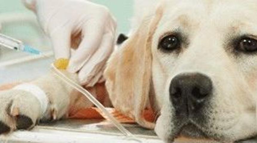 Aydın B&uuml;y&uuml;kşehir Belediyesi&rsquo;nden A&ccedil;ıklama