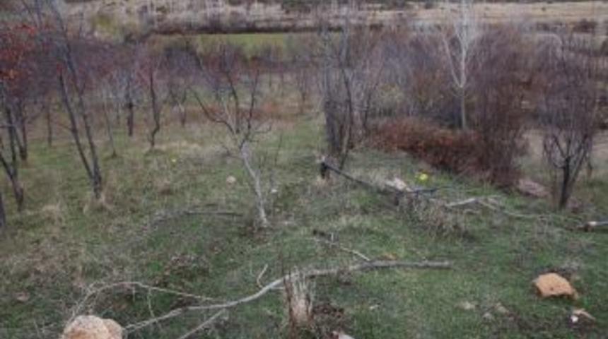 Konya&rsquo;da Hayvan Otlatma Yeri Kavgası: 1 &Ouml;l&uuml;, 1 Yaralı