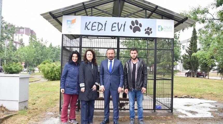 İzmit Belediyesi&rsquo;nde Yahya Kaptan&rsquo;a Kedi Evi
