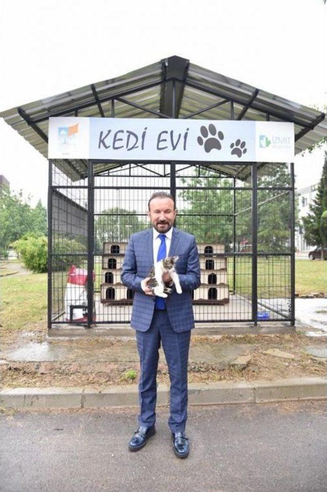 İzmit Belediyesi’nde Yahya Kaptan’a Kedi Evi