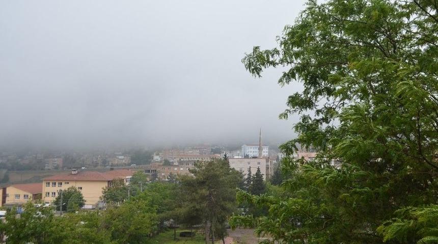 Mardin&rsquo;de Yağmur Ve Sis Hayatını Olumsuz Etkiledi