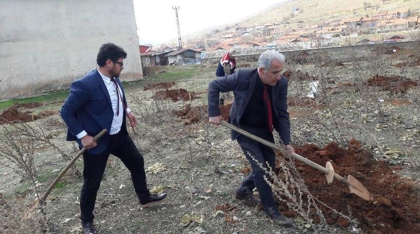 Doğanşehir&rsquo;de Yılın İlk Cevizleri Toprakla Buluştu