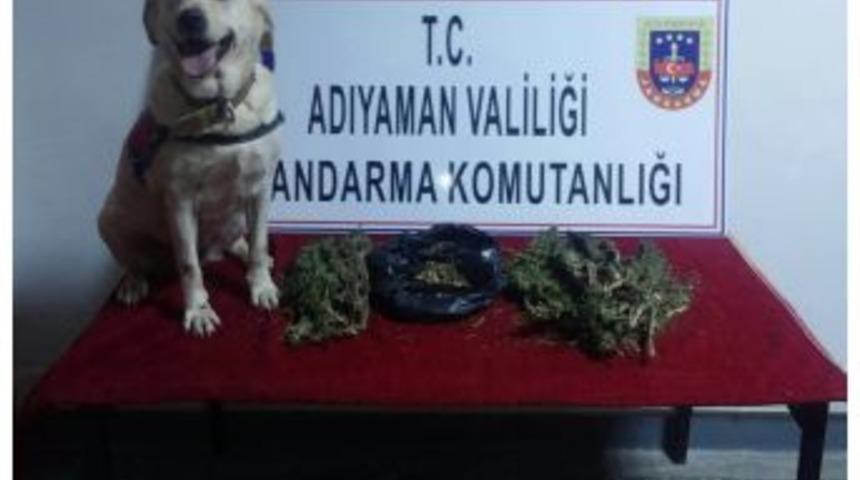 Jandarma Uyuşturucuya Ge&ccedil;it Vermiyor