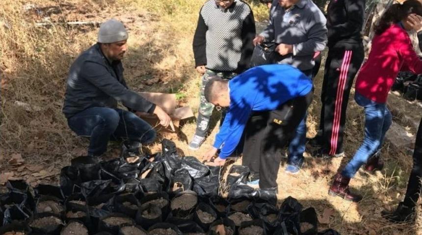Aksaray&rsquo;da &Ouml;zel &Ccedil;ocuklar Ağa&ccedil; Dikti