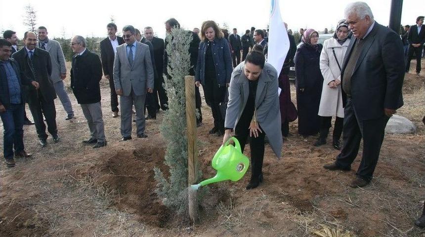 Aksaray&rsquo;da &lsquo;g&ouml;n&uuml;l El&ccedil;ileri&rsquo; Projesi Kapsamında Fidan Dikimi Yapıldı