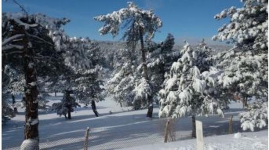 B&uuml;y&uuml;korhan Beyazlara B&uuml;r&uuml;nd&uuml;