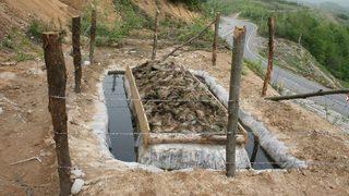 Kastamonu Ve Sinop’ta Çam Kese Böceğiyle Biyolojik Mücadele Sürüyor