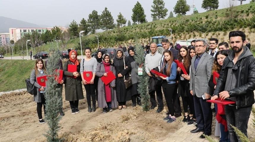 Kbü’de Şehitlerin Anısına Fidan Dikildi