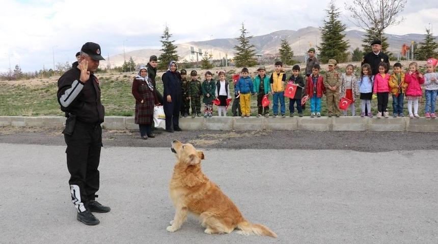 Arama Köpeği ’aza’ Anaokulu Öğrencilerini Hayran Bıraktı