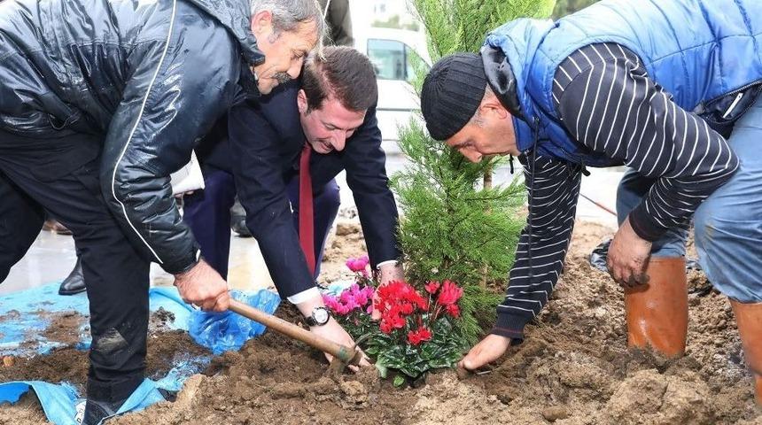 Emine Ahmet Yeni Kız İhl’de İlk Fidan Dikildi