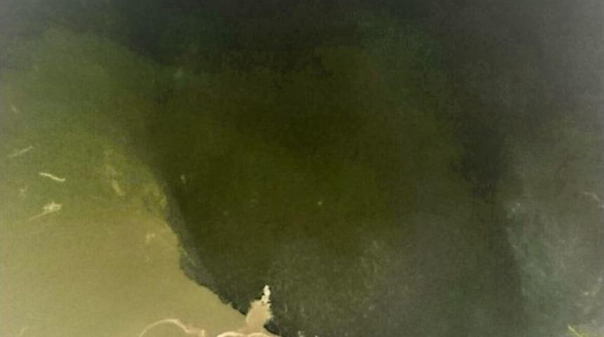 Sit Alanında Kep&ccedil;e İle Kazıya 2 G&ouml;zaltı