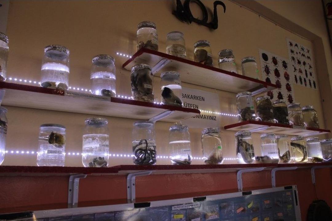 Lise &Ouml;ğrencileri &Uuml;niversitelerde Bulunmayan &Ouml;zellikte Biyoloji M&uuml;zesi Kurdu