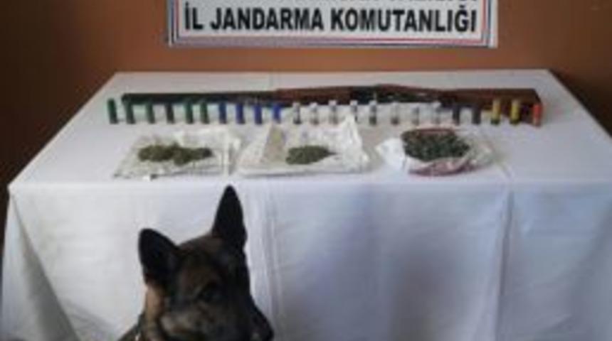 Sinanpaşa&rsquo;da Esrar Operasyonu