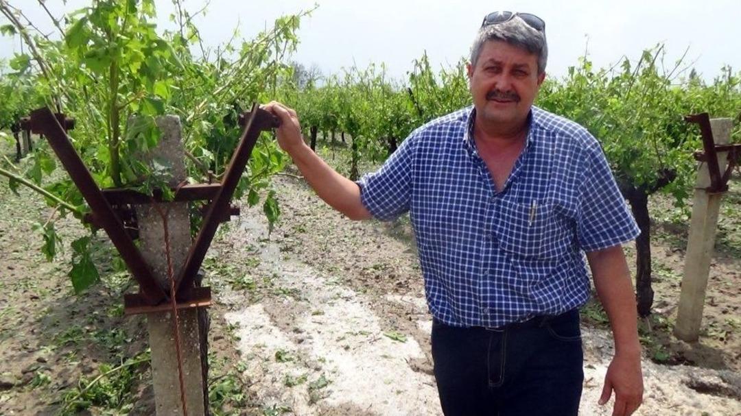 &Uuml;z&uuml;m Bağlarını Dolu Vurdu