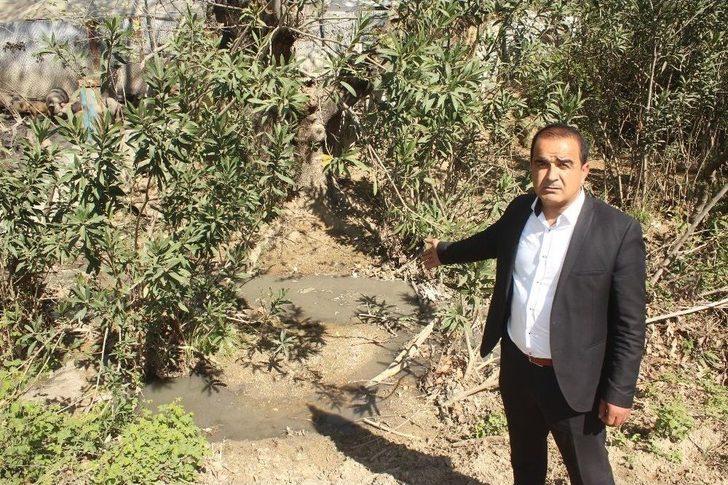 Muhtarın Domuz Çiftliği İsyanı G1