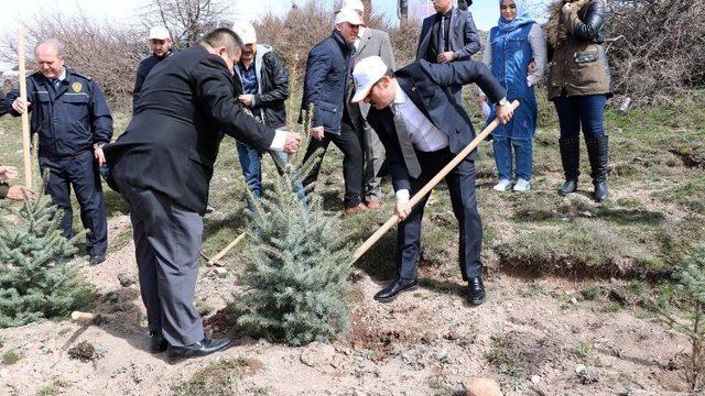 Yozgat’ta 700 Fidan Toprakla Buluştu