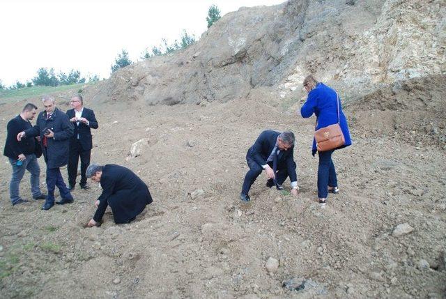 Edirne’de Yüzlerce Öğrenci Gazi Ve Şehitler İçin Fidan Dikti