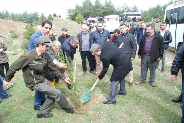 Edirne’de Yüzlerce Öğrenci Gazi Ve Şehitler İçin Fidan Dikti