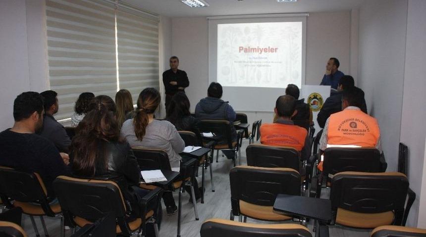 Alanya’da Palmiye Böceğiyle Mücadele Eğitimi
