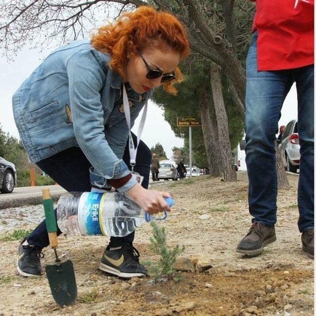 Manisa’nın Fidanları Çanakkale’de Açacak