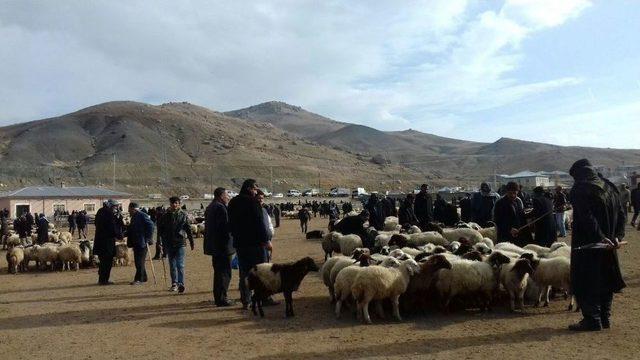 Van’da Kırmızı Et Fiyatında Düşüş